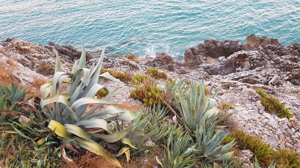 Marina di Camerota