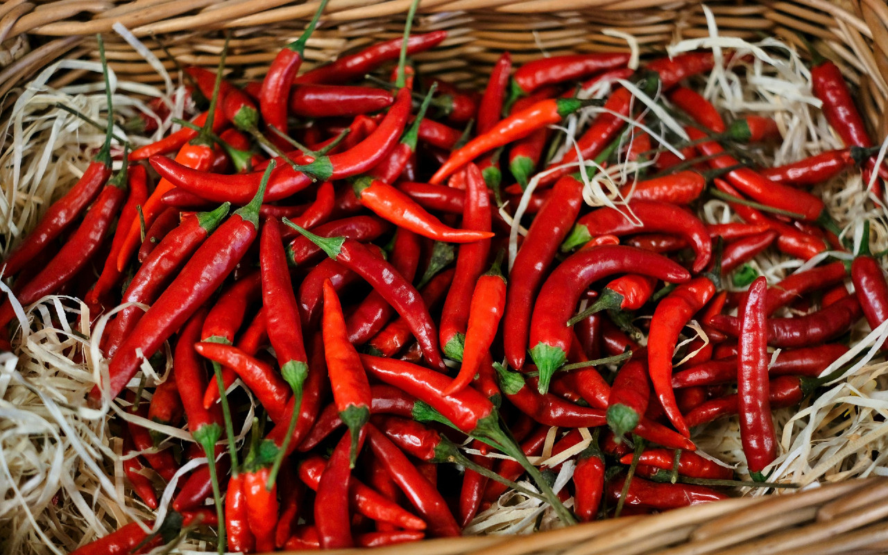 Peperoncino