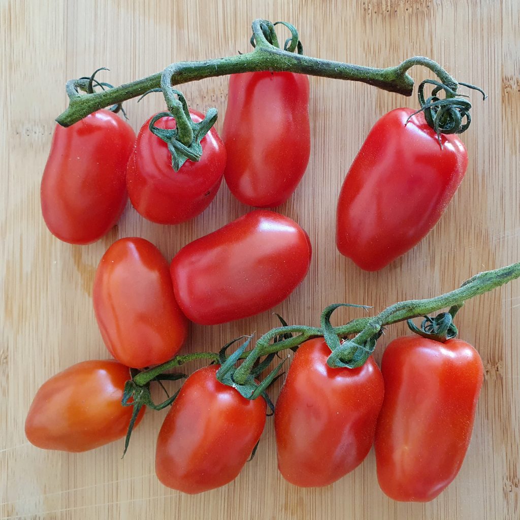 San Marzanotomaten