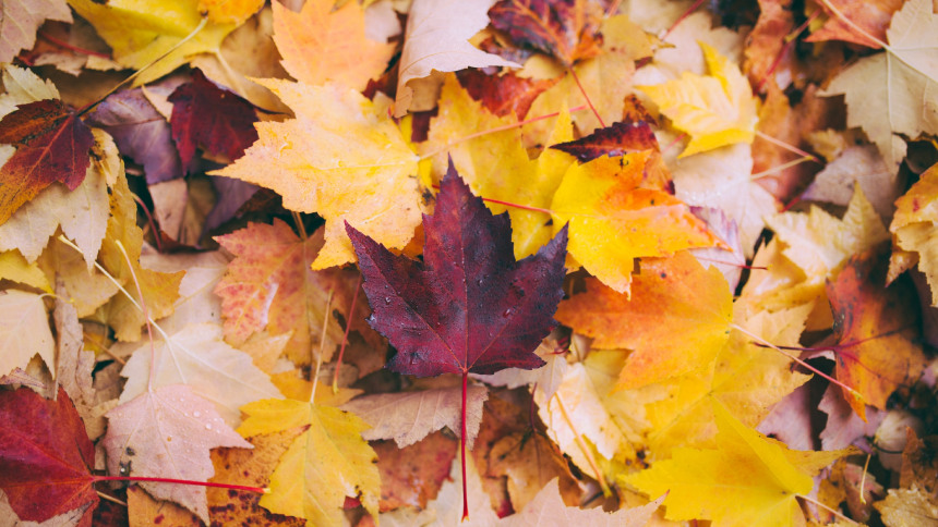 Heerlijk Italiaans herfst menu
